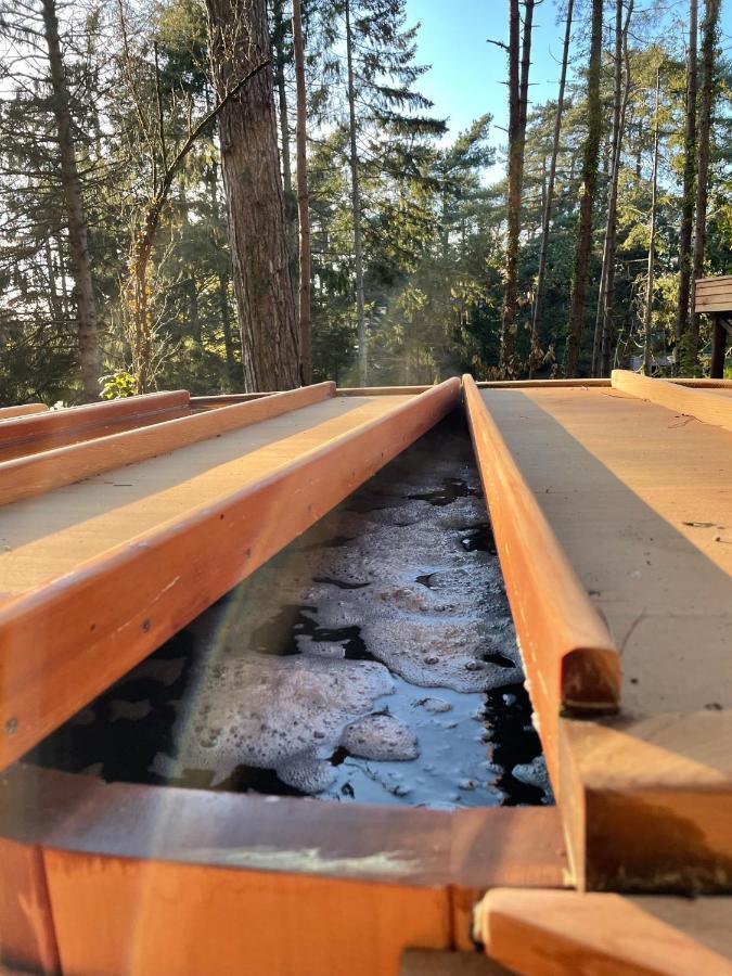 Bain De Foret - Lodges Cosy & Spa Neufchatel Hardelot Bagian luar foto