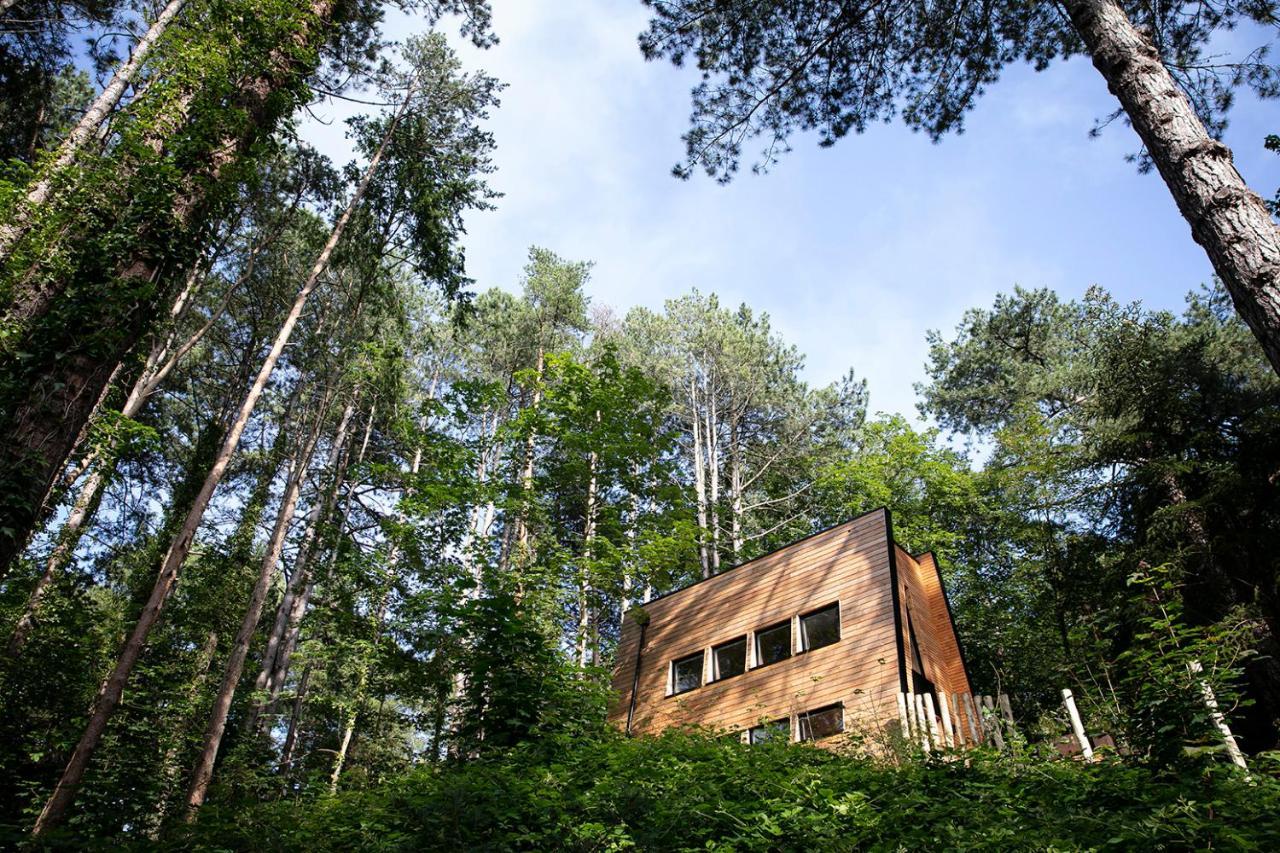 Bain De Foret - Lodges Cosy & Spa Neufchatel Hardelot Bagian luar foto