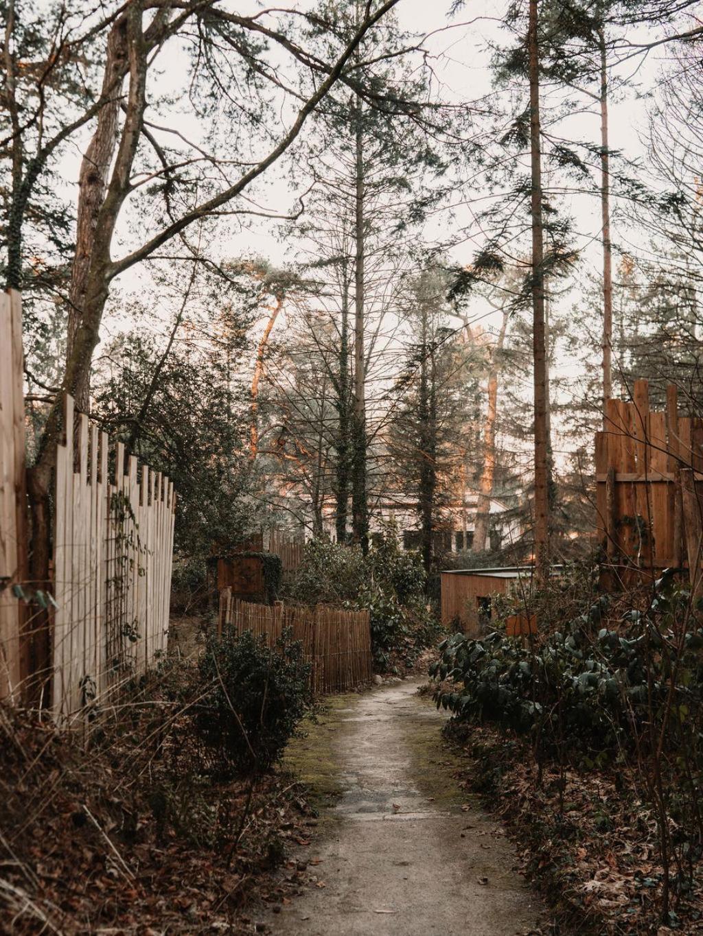 Bain De Foret - Lodges Cosy & Spa Neufchatel Hardelot Ruang foto
