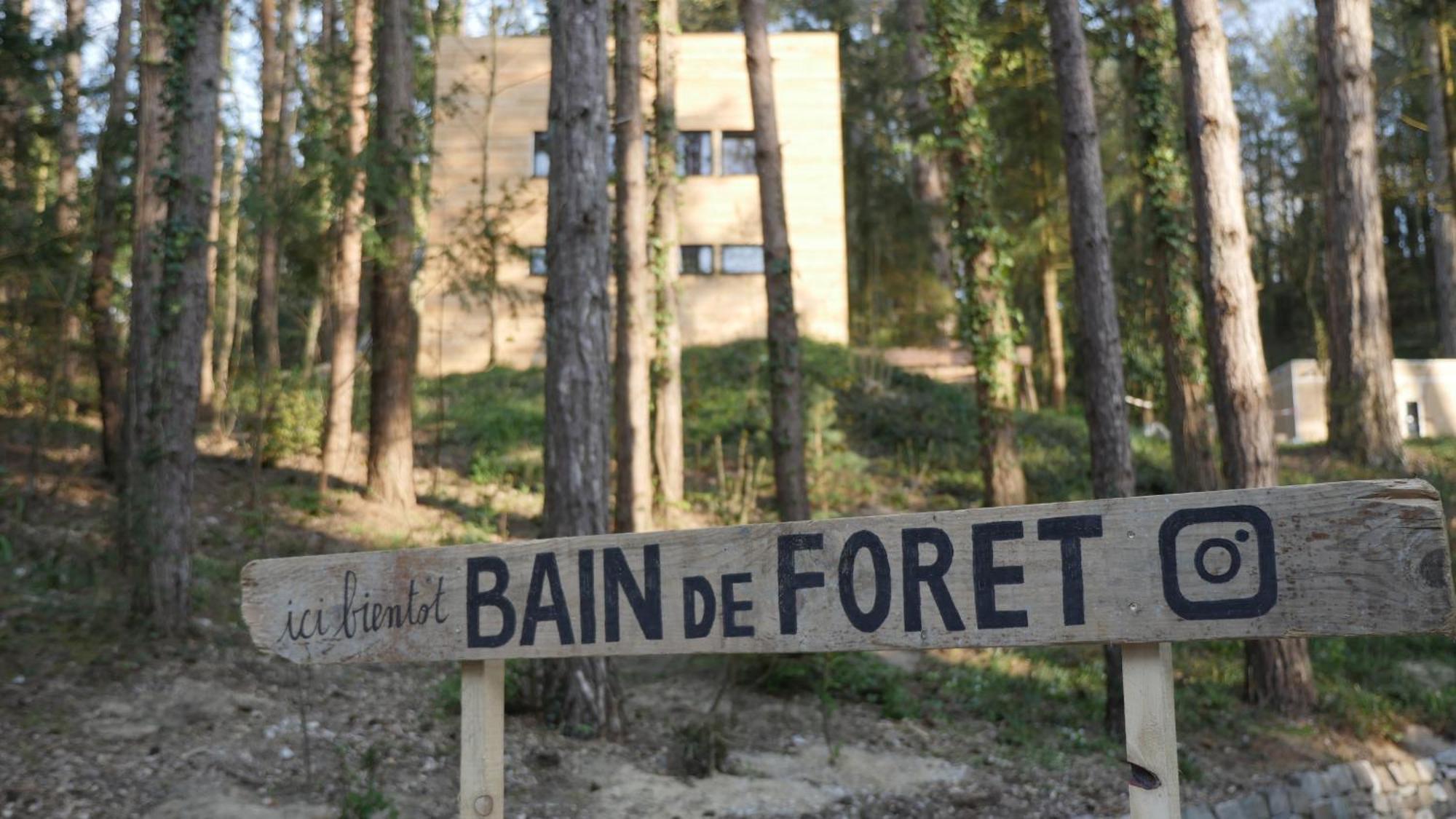 Bain De Foret - Lodges Cosy & Spa Neufchatel Hardelot Ruang foto